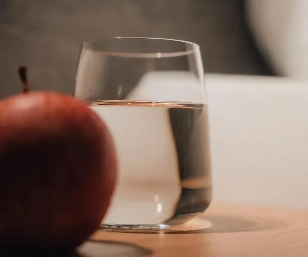 Restaurant Roessl Windischgarsten